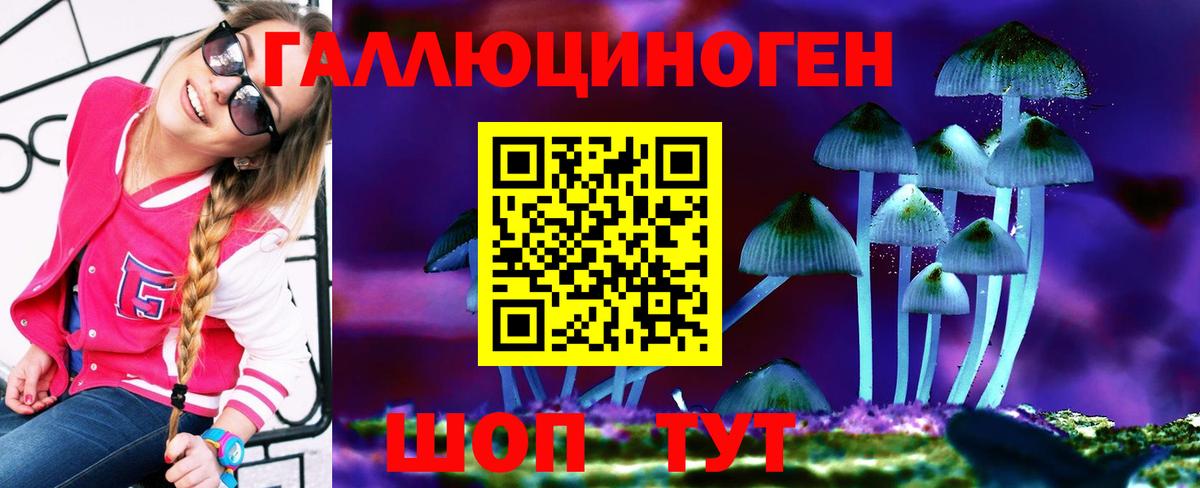 Псилоцибиновые грибы Psilocybe Полысаево